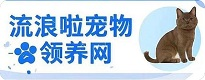 全國寵物領養中心，寵物棄養網站，流浪啦寵物領養網-