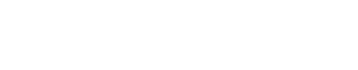 遼寧飛魚-社交電商定制服務商