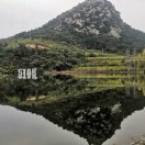 阜羽同城
