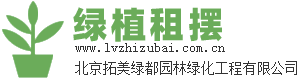 綠植租擺-綠色植物-北京綠植租擺-辦公室綠植租擺-綠植租賃