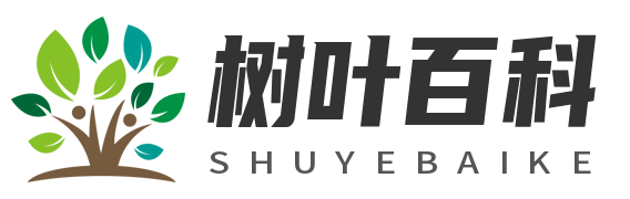 曼華考試網(wǎng)-提供各類考試經(jīng)驗(yàn)和考試信息！