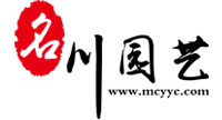 成都苗木批發_綠化苗木價格_苗木網_郫縣基地供應_名川園藝公司