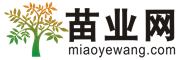 苗業網|園林|綠化|花木|苗木|花卉|草坪|盆景|容器|花盆|雕塑|專業的農林牧漁資材平臺[miaoyewang.com]
