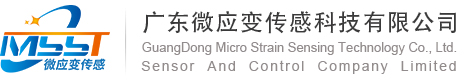廣東微應變傳感科技有限公司