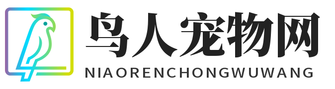 鳥人IT - 高端網站建設
