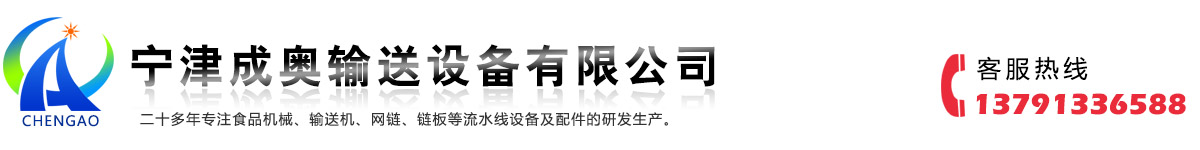 不銹鋼鏈板輸送機(jī)-網(wǎng)帶輸送機(jī)-烘干機(jī)廠家-食品清洗機(jī)-寧津成奧輸送設(shè)備有限公司