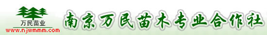 星辰影院-高清完整版中國字幕在線看韓國電影
