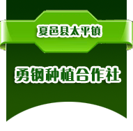 夏邑縣勇鋼種植專業(yè)合作社