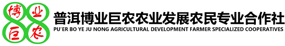 普洱博業(yè)巨農農業(yè)發(fā)展農民專業(yè)合作社 官網_農業(yè)_紙皮核桃_核桃苗_櫻桃樹_櫻桃_晚熟芒果_晚熟芒果苗_梨樹_桃樹_李子樹_櫻桃李樹