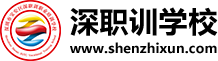 皮皮豬網(wǎng)盤 | 高速云存儲網(wǎng)盤