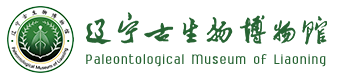 首頁(yè) | 遼寧古生物博物館