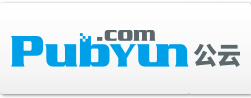 專業(yè)的云計(jì)算、動(dòng)態(tài)域名服務(wù)提供商 - 公云PubYun