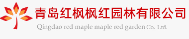 美國紅楓_秋日夢幻_紅點紅楓_秋火焰_青島紅楓楓紅園林