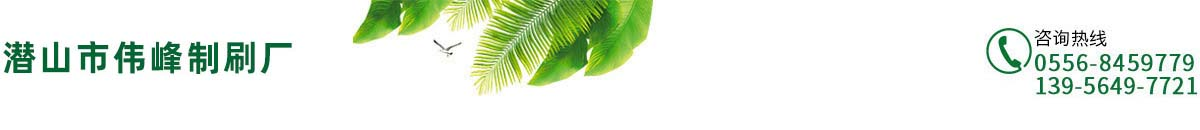毛刷|毛刷輥|潛山市偉峰制刷廠