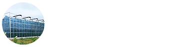 玻璃溫室_智能溫室廠家-青州市中建農業科技有限公司