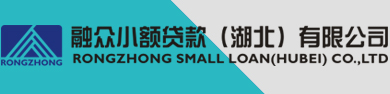融眾小額貸款（湖北）有限公司
