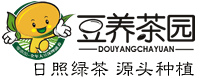 日照綠茶_日照綠茶價格_東海凝翠_日照綠茶直銷網