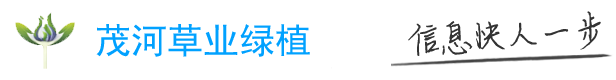 白白星座：關于十二星座的所有