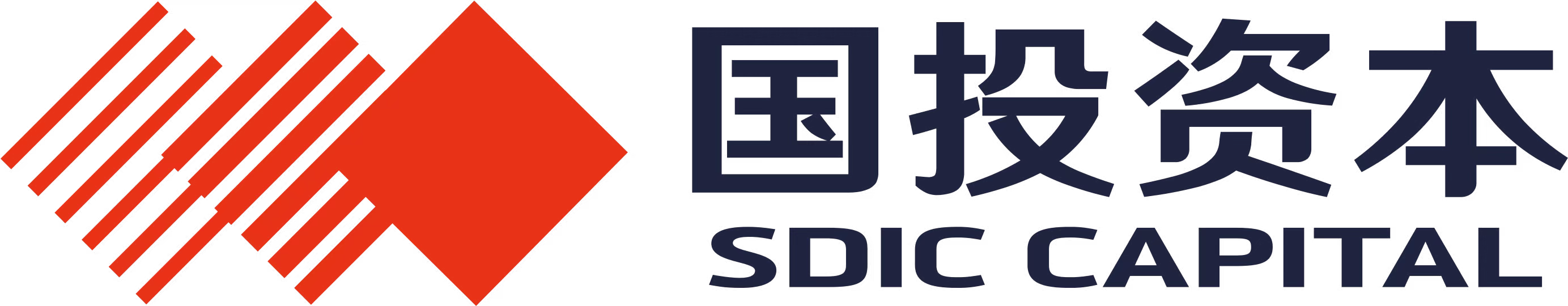 國(guó)投資本股份有限公司