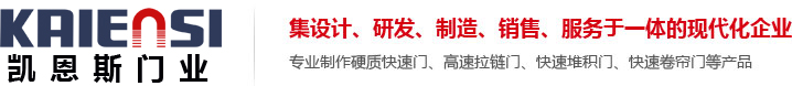 山東凱恩斯門業(yè)有限公司