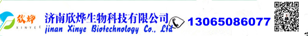 N-甲基吡咯烷酮,四氫噻吩,對苯醌,對苯二酚,氧化苯乙烯,苯乙酮,間苯二甲醚,環戊酮_濟南欣燁生物