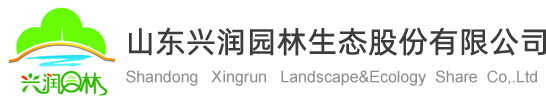 山東興潤園林生態股份有限公司