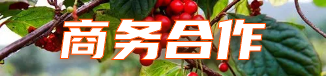 孫德藥材網(wǎng)-全國(guó)中藥材信息交流中心