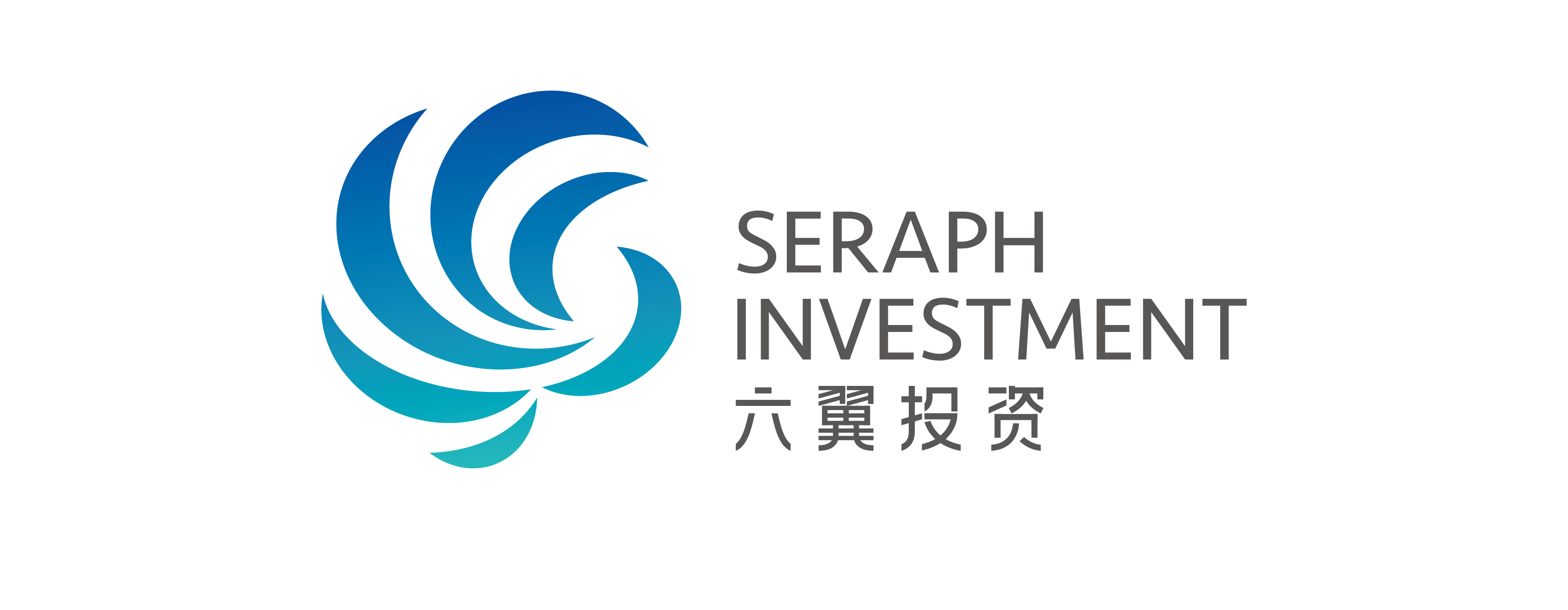 南京六翼投資管理股份有限公司