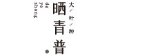 曬青普普洱茶源頭廠商,普洱茶,普洱茶批發(fā),普洱茶代理 - 曬青普茶業(yè)