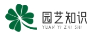 地方落戶 - 解答全國各地落戶子問題資訊-上海蕓朔灣科技有限公司
