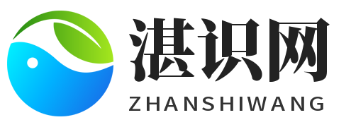 湛識網 - 分享網絡知識和技巧