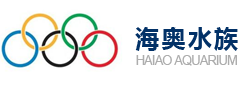 大型魚缸定做|水族工程|亞克力泳池生產廠家-上海海奧水族