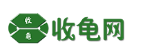 收龜網