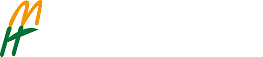 群體光合檢測-冠層光合檢測-葉綠素?zé)晒獬上裣到y(tǒng)-植物表型平臺-上海黍峰生物科技有限公司