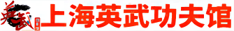 上海少兒武術(shù)_跆拳道培訓(xùn)_散打搏擊班★盡在上海英武功夫館