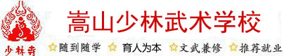 登封嵩山少林寺武術(shù)學(xué)校_少林寺文武學(xué)校_河南武術(shù)學(xué)院