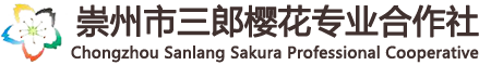 四川成都櫻花-四川櫻花基地-成都高桿櫻花-成都垂枝櫻花-崇州市三郎櫻花專業(yè)合作社