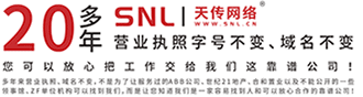 廣州網站建設_網頁設計網站改版_網絡推廣制作公司 - SNL|廣州天傳網絡