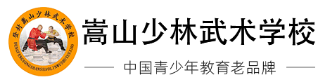 河南登封嵩山少林寺武術(shù)學(xué)院-中岳少林正規(guī)武校,文武學(xué)校排名
