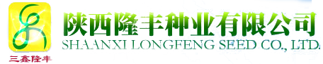 陜西隆豐種業有限公司