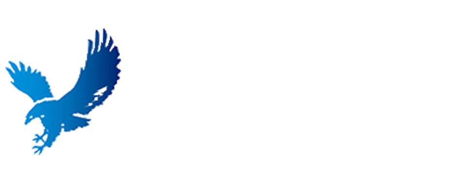 山西雙鷹藥業(yè)有限公司