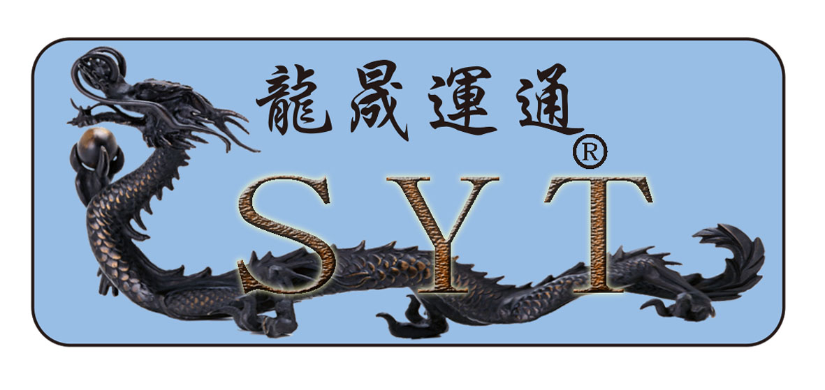 深圳龍晟運(yùn)通國際貨運(yùn)代理有限公司