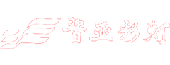 山西晉亞大型彩燈制作-燈會公司-春節元宵節花燈制作廠家