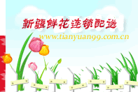 烏魯木齊鮮花,烏魯木齊花店,烏魯木齊市區免費送花上門__新疆田園鮮花連鎖