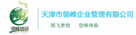 天津市領峰企業管理有限公司