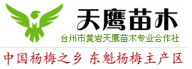臺州市黃巖天鷹苗木專業合作社