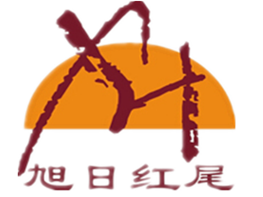大連旭日紅尾職業培訓學校