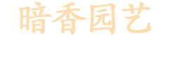 武漢綠植租賃|武漢花卉租擺|武漢綠植物出租|辦公室花卉租賃|出租綠植-武漢暗香園藝有限公司