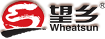 掛面面條 _掛面廠家_掛面批發-山東望鄉食品有限公司