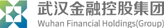 武漢金融控股（集團(tuán)）有限公司